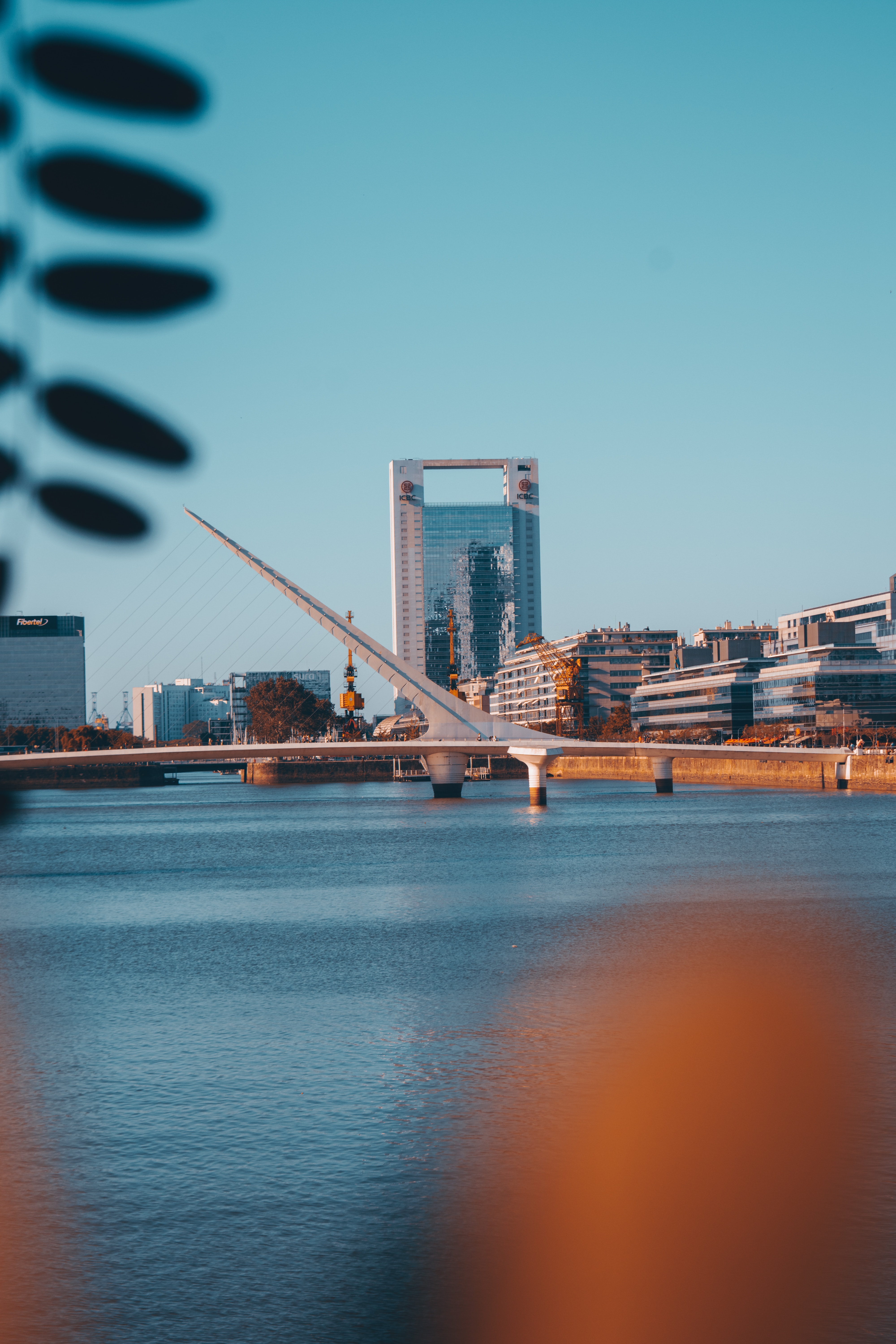 Woman's Bridge in Buenos Aires. The river beneath the bridge. The blue sky and illuminated buildings.